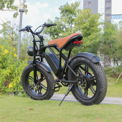 YTYIN V20 Fat Tire Electric Bike