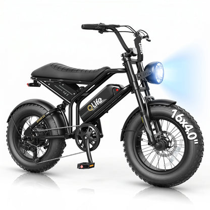 Qlife Spark D1 Electric Bike | 1500W 48V Fat Tire Ebike
