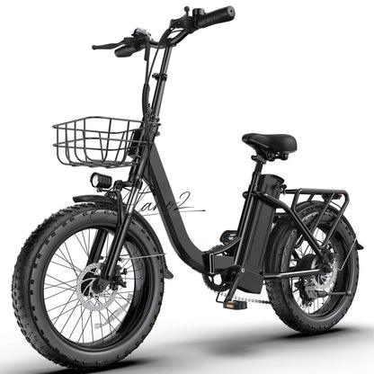 Portable Foldable Electric Bicycle Fat Tire Long Range Lithium Battery Assist Bike