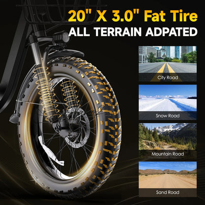 Portable Foldable Electric Bicycle Fat Tire Long Range Lithium Battery Assist Bike