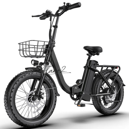 Portable Foldable Electric Bicycle Fat Tire Long Range Lithium Battery Assist Bike