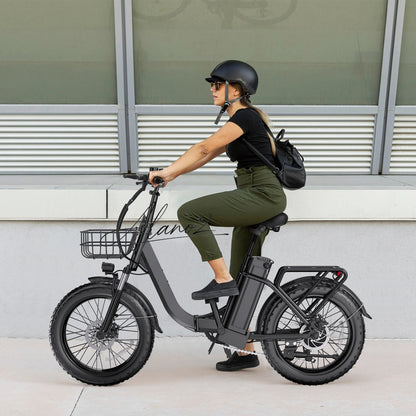 Portable Foldable Electric Bicycle Fat Tire Long Range Lithium Battery Assist Bike