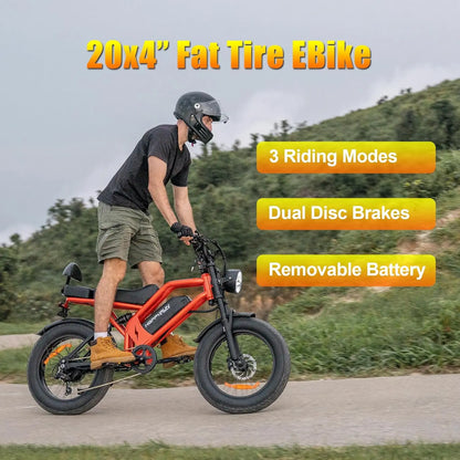 1500W Electric Bike Adults 48V 68+ Miles 7-Speed Mountain Commuter E-Bicycle, Customized