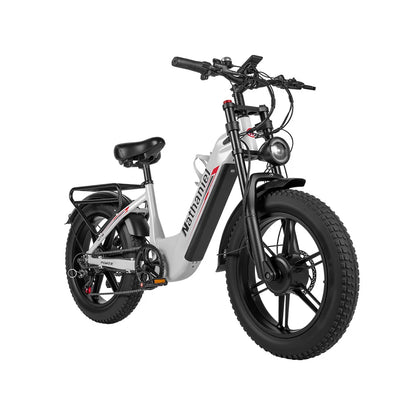 Nathaniel SYR08 2000W Dual Motor E-Bike, 20*4.0 Fat Tire, 20AH Detachable Battery, Speed 50+, Daily Commuting, Adult Electric Bi
