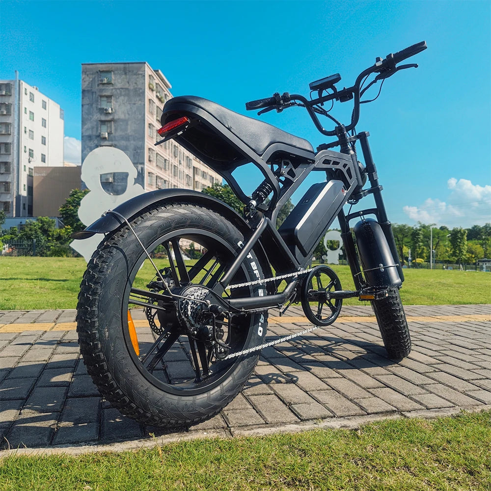 YTYIN V20 Fat Tire Electric Bike