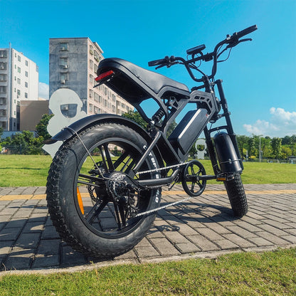 YTYIN V20 Fat Tire Electric Bike